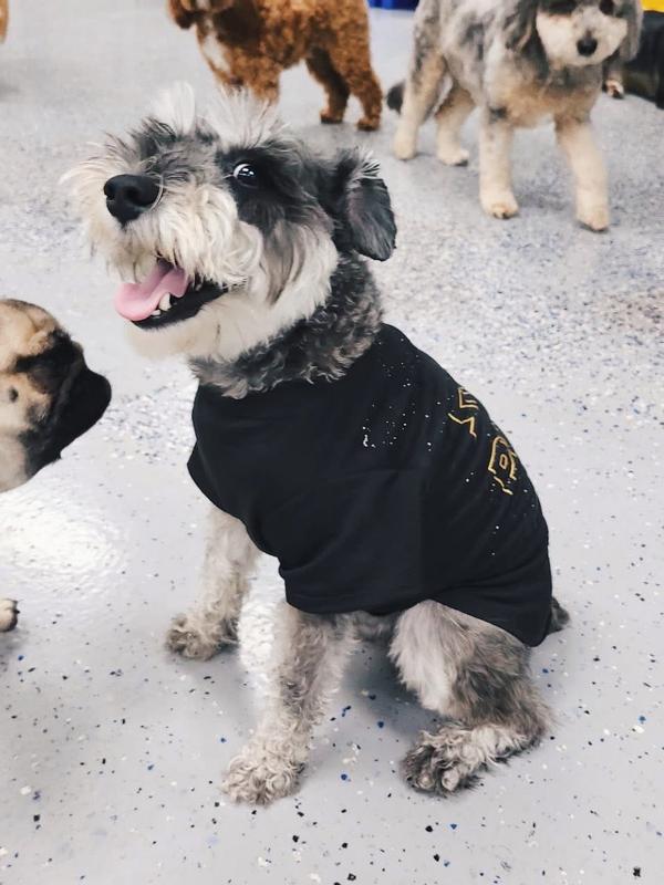 Posing for the camera!