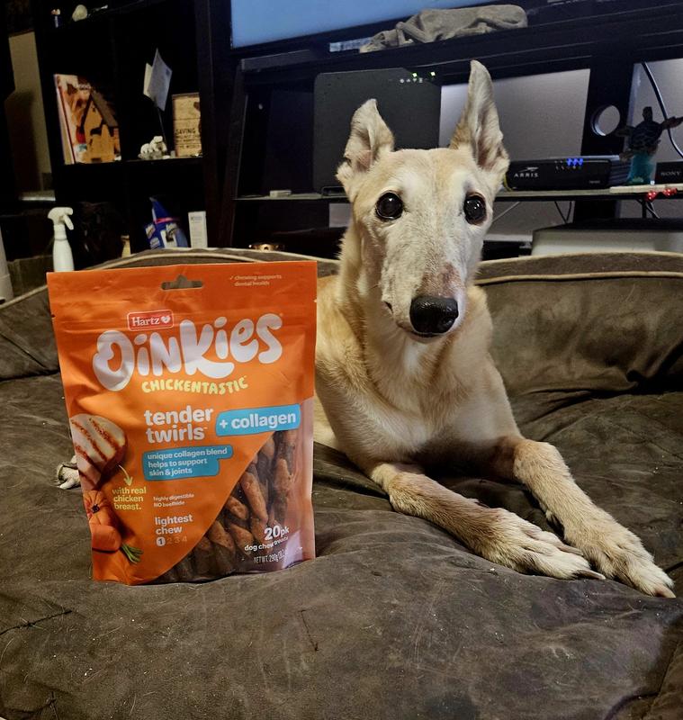Hartz Oinkies Tender Twirls + Collagen for Skin & Joints Rawhide-Free Natural Dog Treats, 20 count