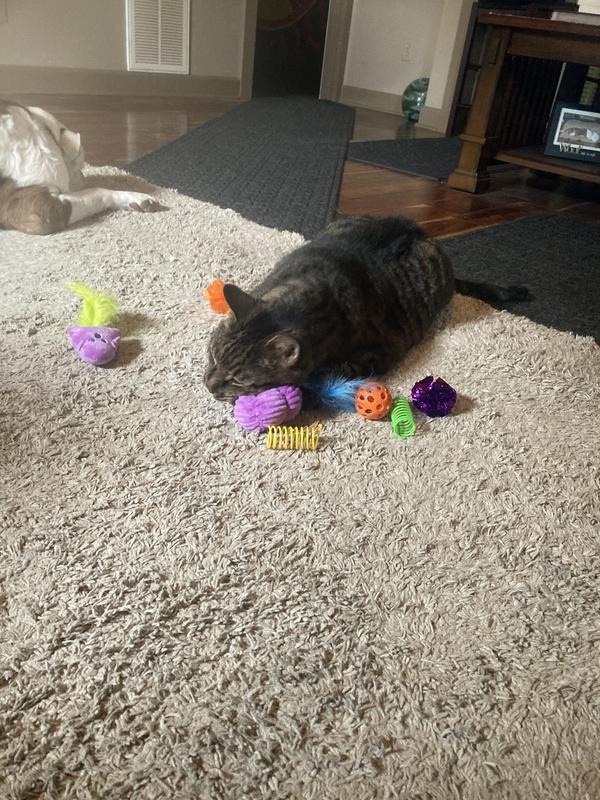 Enjoying his new toys!