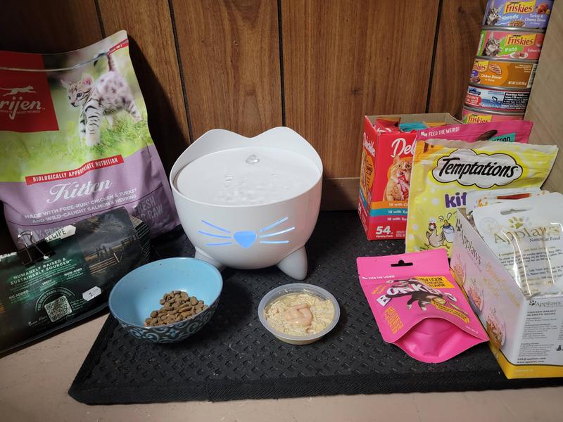 CATIT Pixi Cat Drinking Fountain, Mint Green