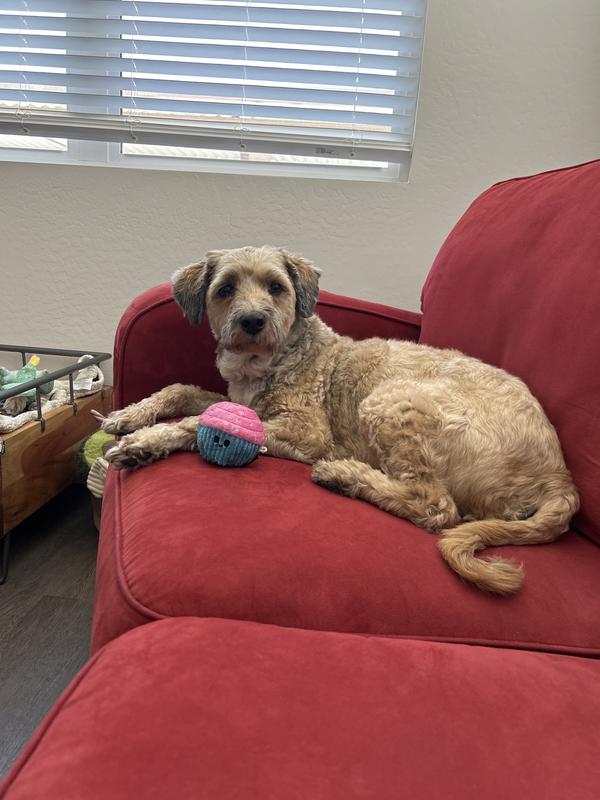 You can’t tell but it’s pretty demented