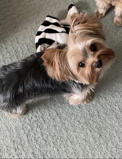 I'm stubborn, and I actually WANT to take this pill.