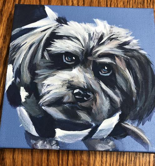 Chewie loves Chewy.com