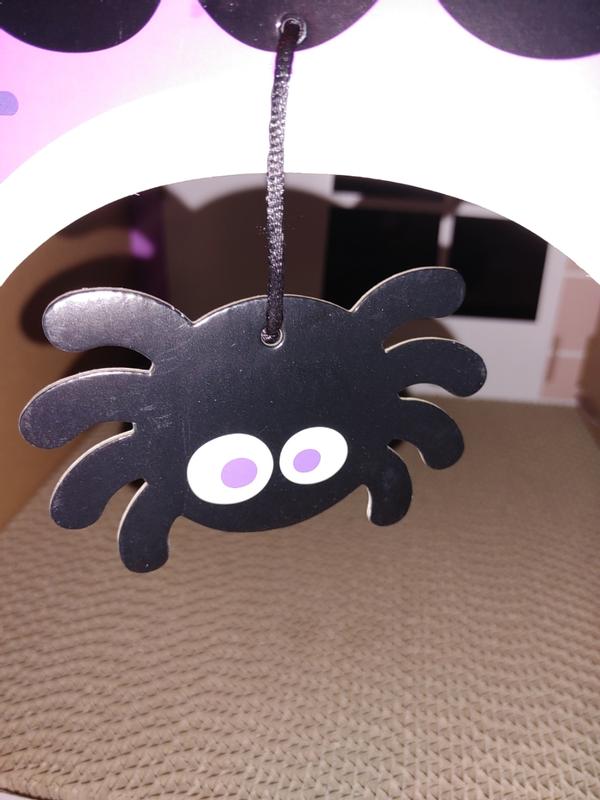 Cute hanging spider for kitty playtime.