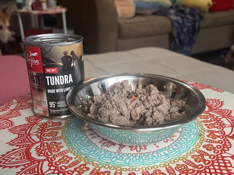 Can of Orijen brand Tundra pate with liver canned dog food.  Beside it is a bowl of the wet food.