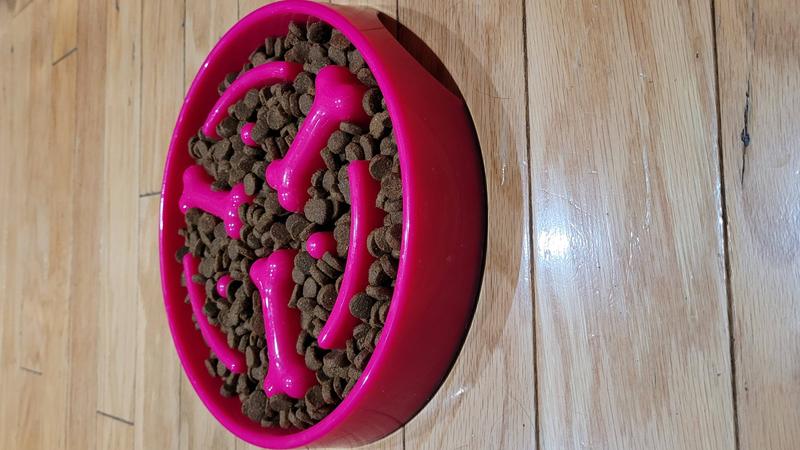 PET SLOW FEED BONE-SHAPED BOWL – petslowfeeders