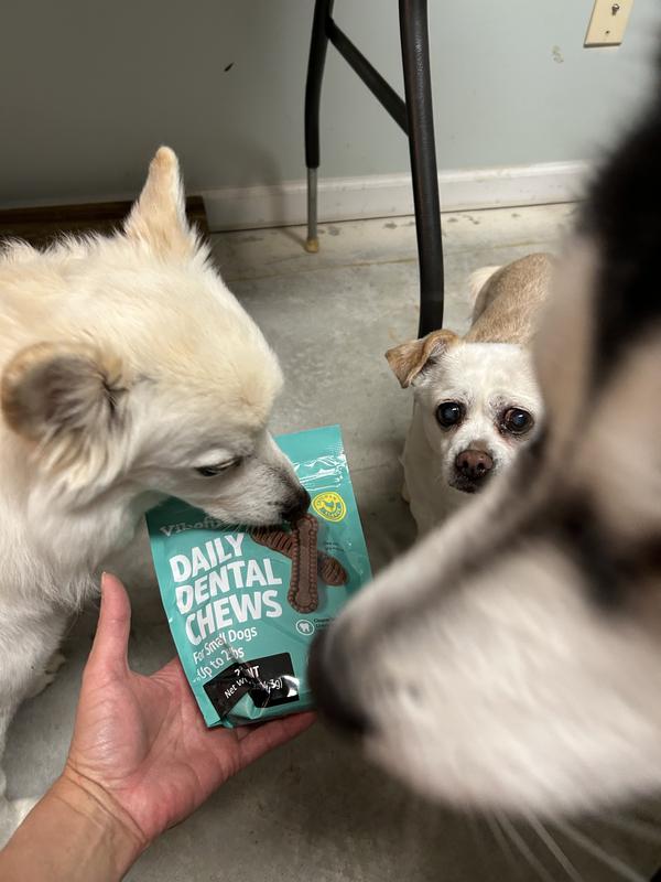 Vibeful Small Daily Dental Chew Treats for Dogs, Chicken Flavor