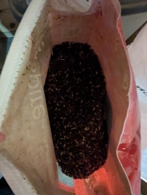 what the feed looks like