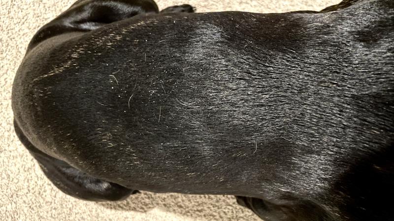 White flakes and greasy touch