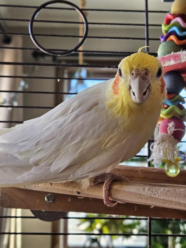 The old man feeling grumpy about a photo.