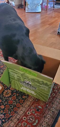 Redbarn Naturals Pig Snouts Dog Treats