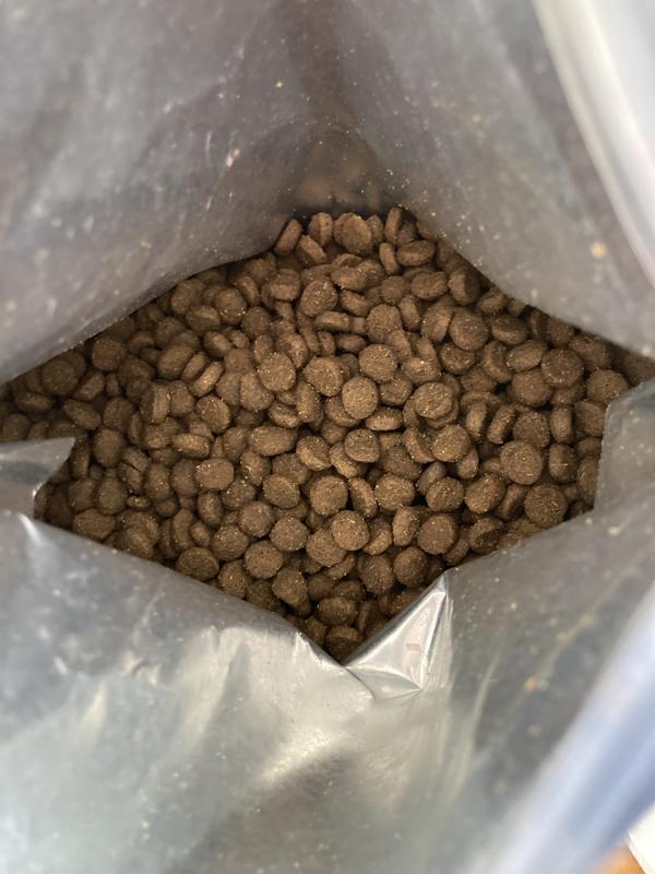 MADE BY NACHO Bone Broth Infused Sustainably Caught Salmon & Pumpkin