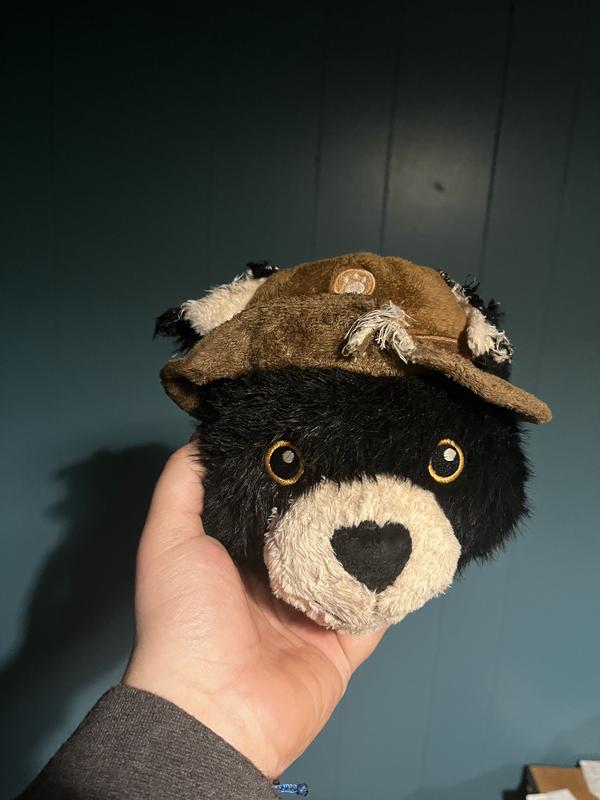 Damage dealt after about a week with a pittie mix