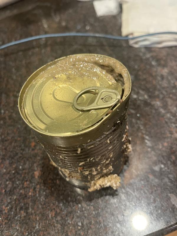 Can was broken open in the sealed plastic liner. Infested this can and the other dented cans with bugs.