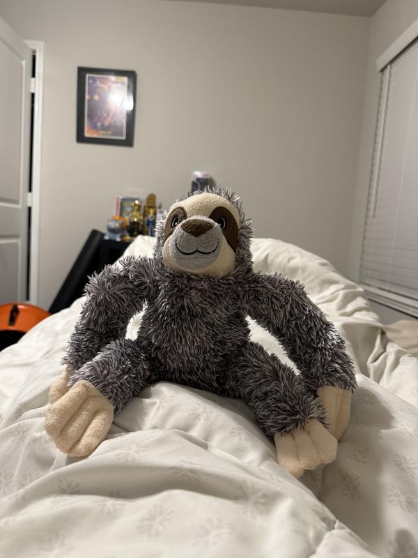 Great size for a medium sized dog