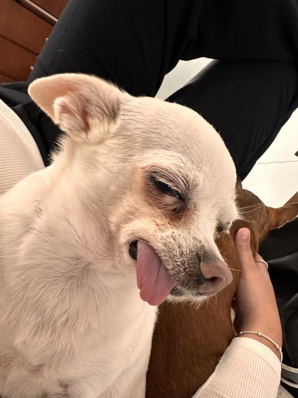 Before - rusty stains