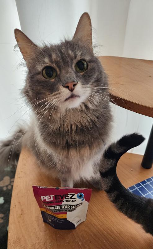 Meep just likes getting her picture taken!