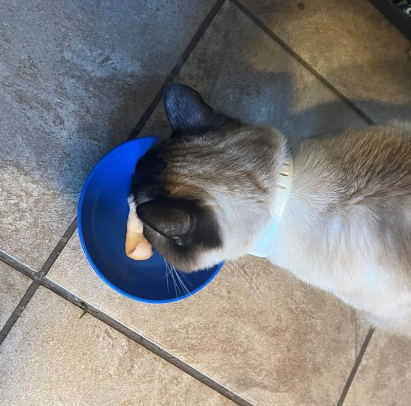16-year-old Minnie thought it was delicious