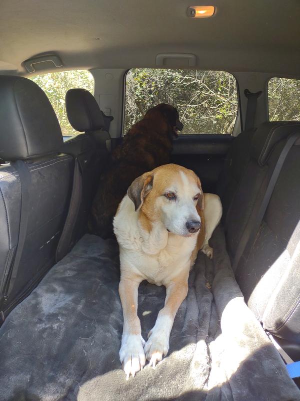 It's soft and thick and works perfectly with the bench expander