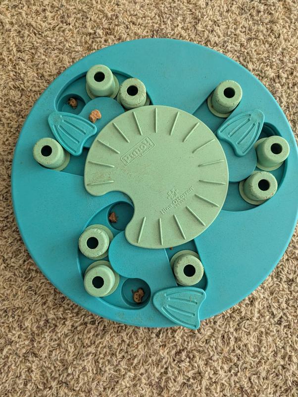 Dog puzzle with uneaten buddy biscuit treats