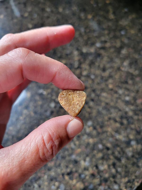 Perfect sized soft chews