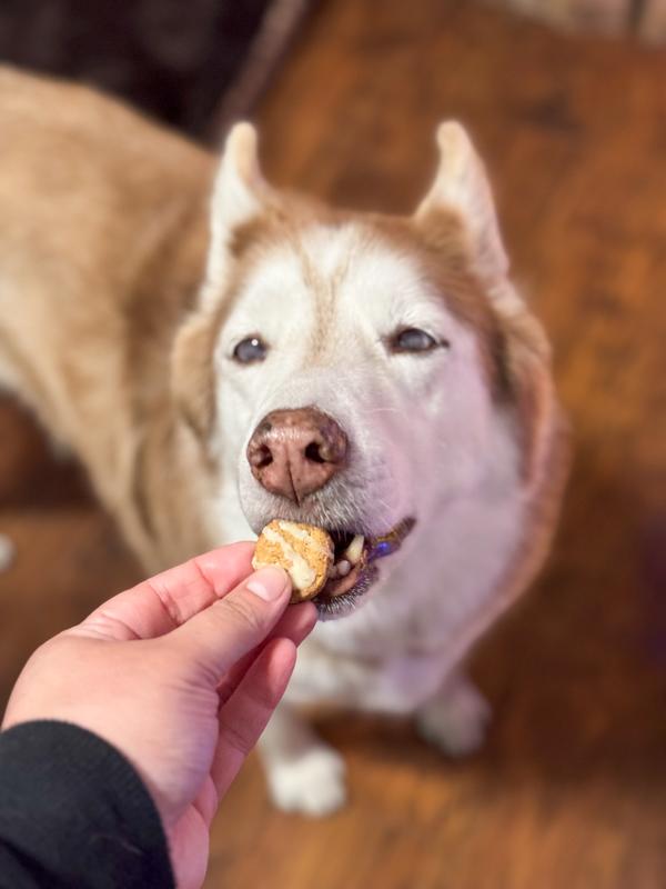 Jenna doing a little taste test