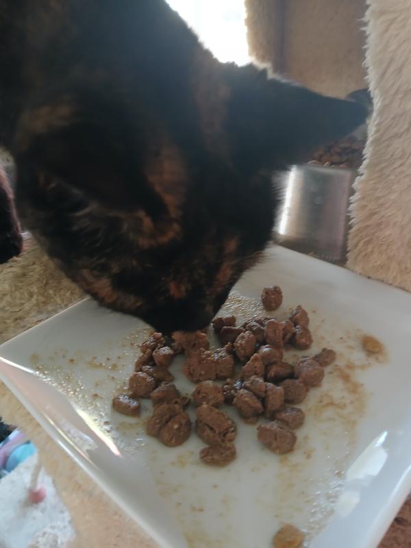 Trying it rehydrated