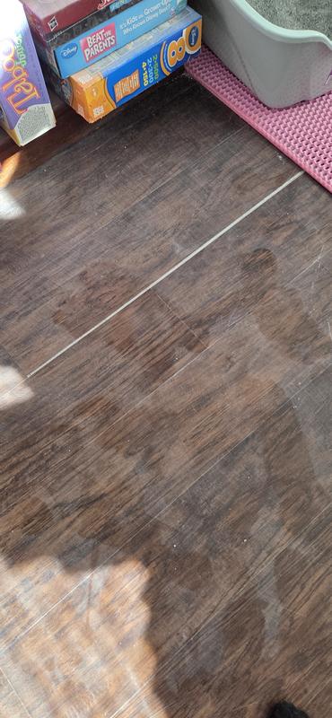 Floor was just swept yesterday