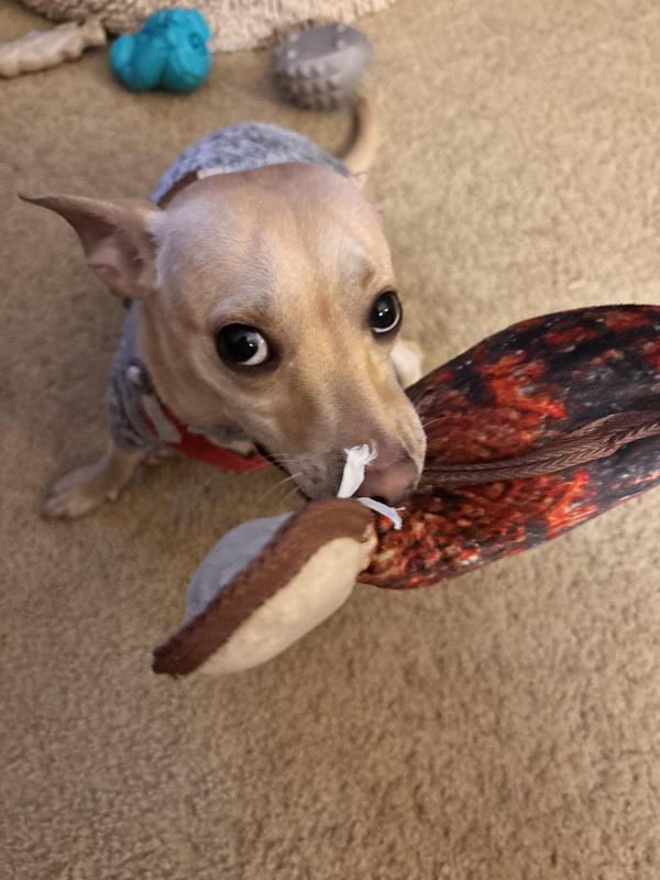 Just receiving toy @ 8pm 1/16