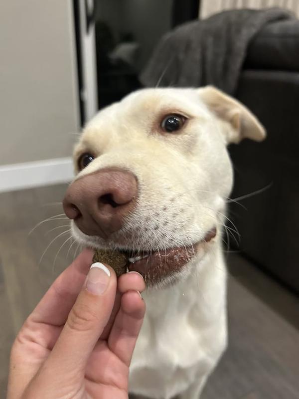 Aspen loves the taste!