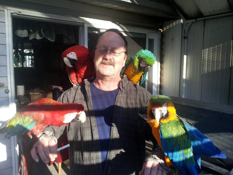 My husband with our happy Macaws