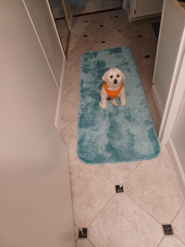 Amy overseeing me scrubbing the shower!