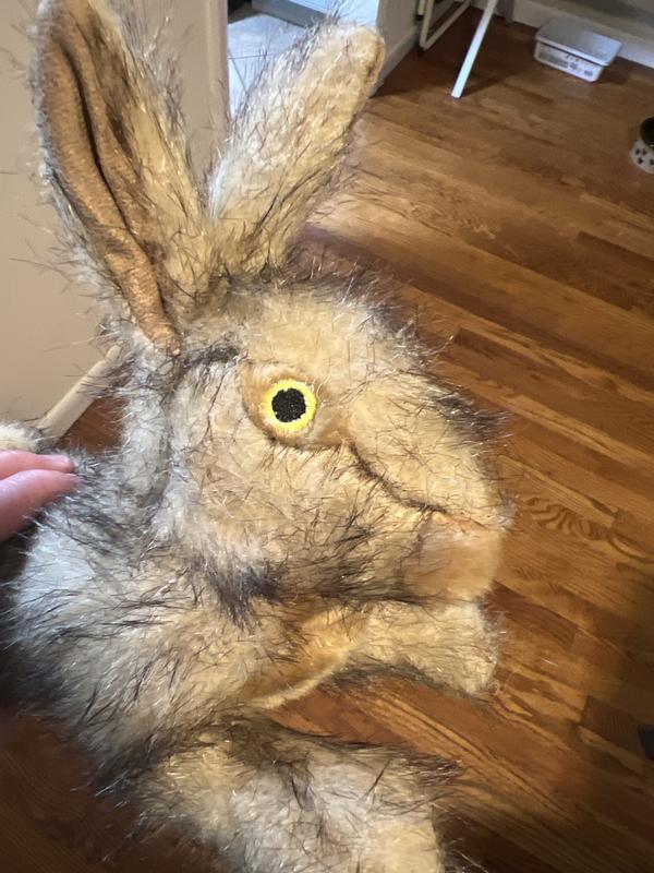 Staring into your soul