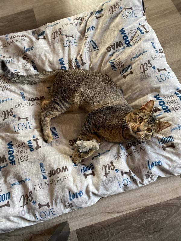 FRISCO Skinny Mouse Catnip Cat Toy, Brown