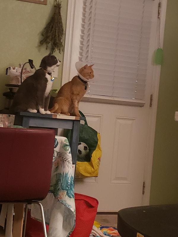 Bonding bros