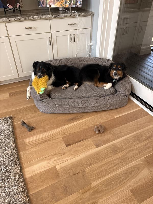 Mavi always has them near!