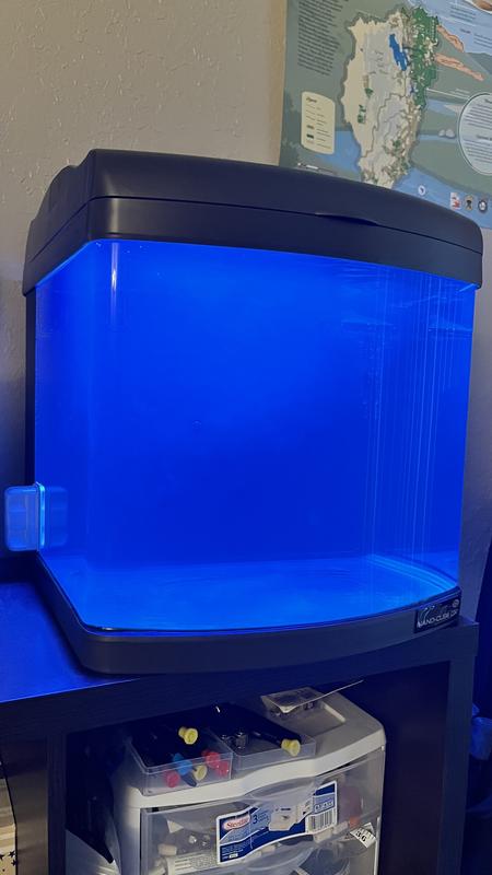 Lighting looks super blue here but that’s just due to nothing being in the tank I think.