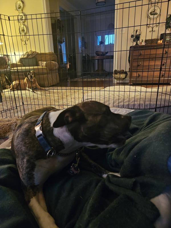 Someone's definitely watching the slower chewer finish