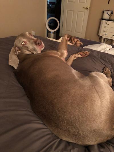 What!!! I’m sleeping!!