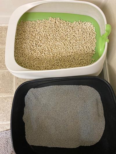 Cat litter breeze clearance system