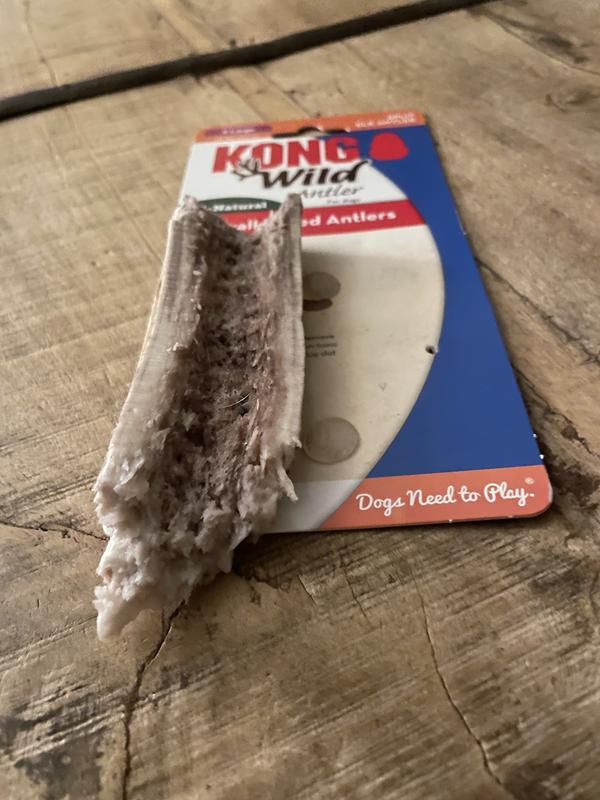 Kong 2024 wild antler