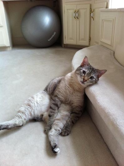 What do you want from me?