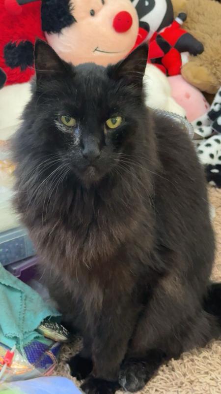 And this is his brother, he’ll eat anything you offer him