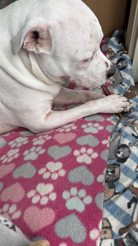 Super happy birthday girl, enjoying