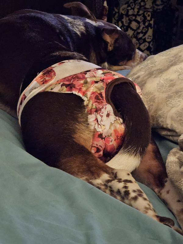 These are a definite winner,lulu wasn't trying to take them off