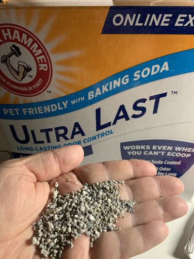 Arm and hammer shop ultra last cat litter