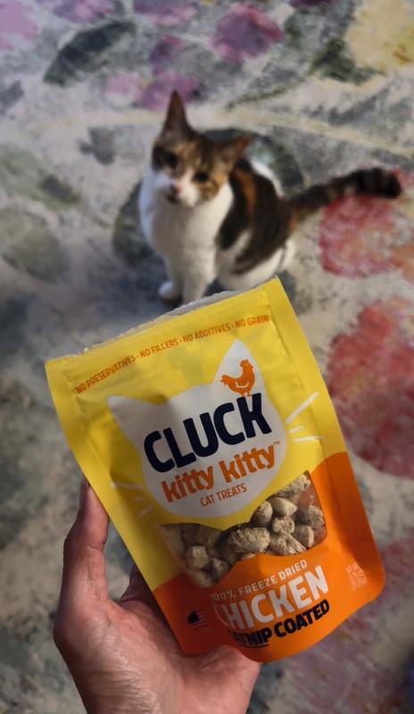 Abracadabra and her new favorite treats