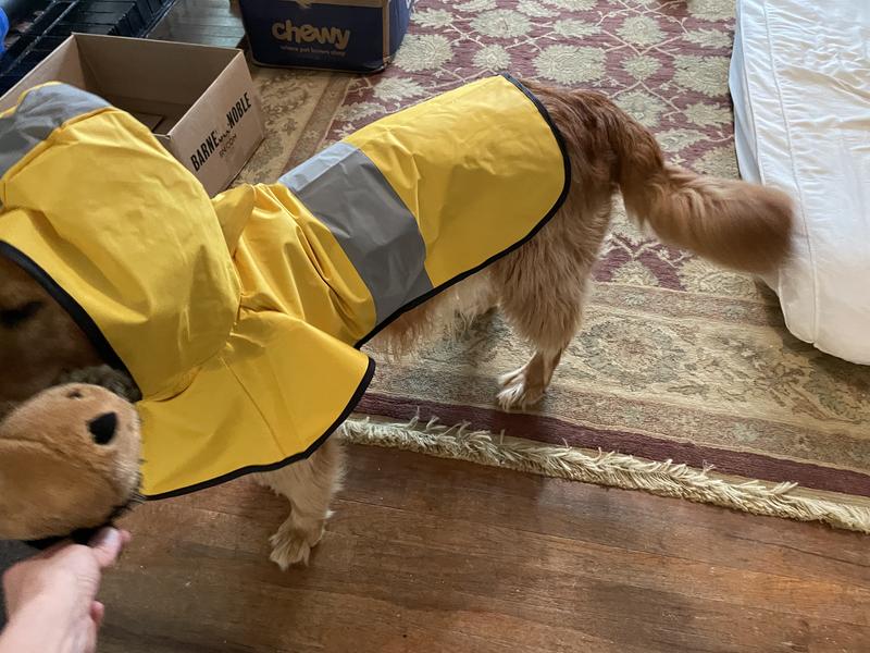 Chewy raincoat shop