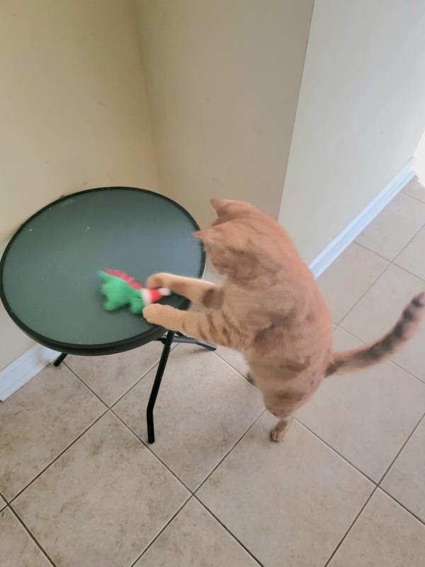 Playing with Frisco dinasaur.