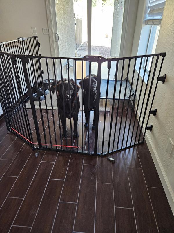 FRISCO Steel 3-Panel Configurable Gate, 41-in Height, White - Chewy.com